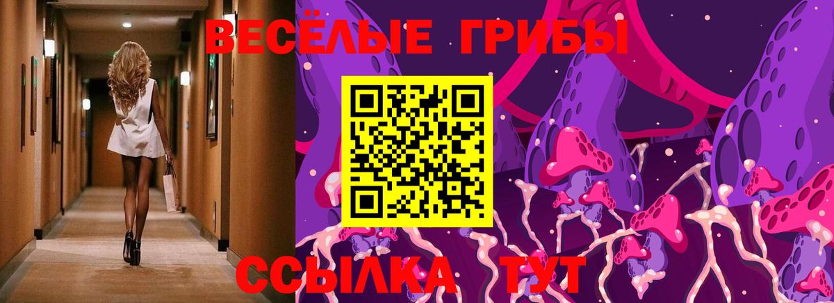 Галлюциногенные грибы мухоморы Вольск