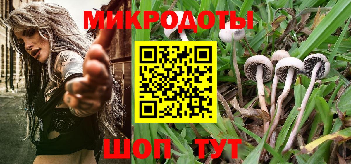 Псилоцибиновые грибы MAGIC MUSHROOMS  Вход с VPN  хочу   Вольск 